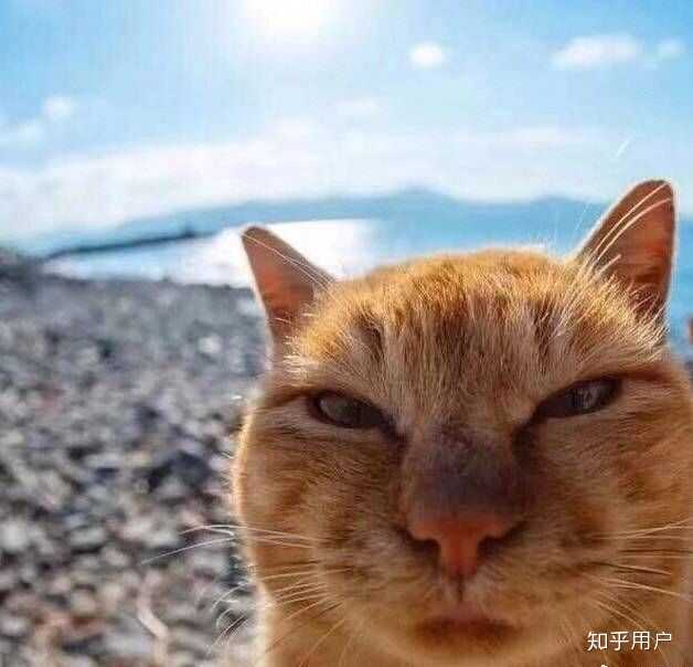 反正到现在都觉得那个老师恶臭至极.