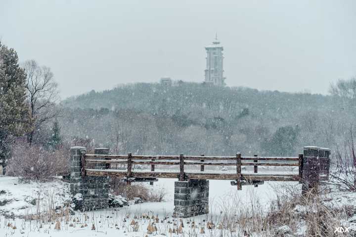 你有哪些拍的好看的雪景图?