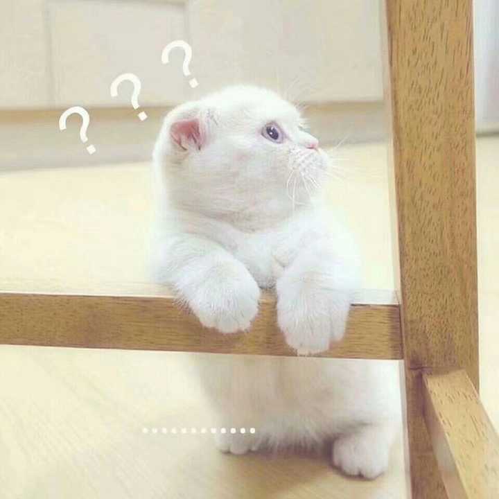 有哪些可爱的表情包?