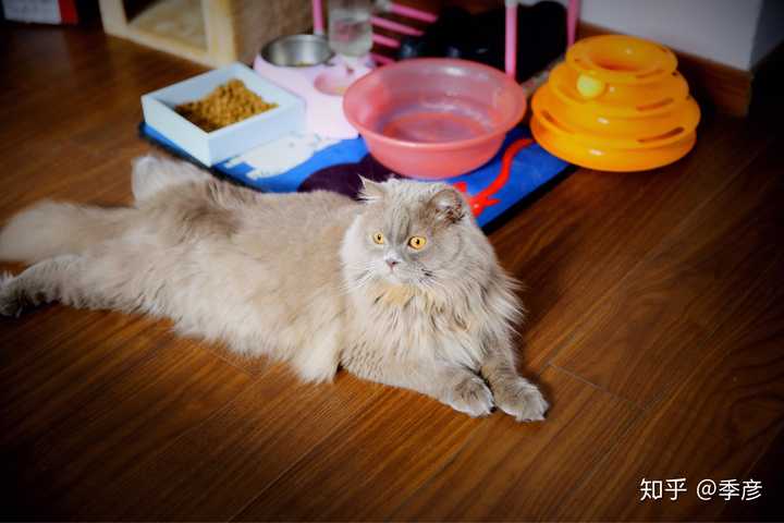 体验就是,以前举高高很容易,现在越来越难了.