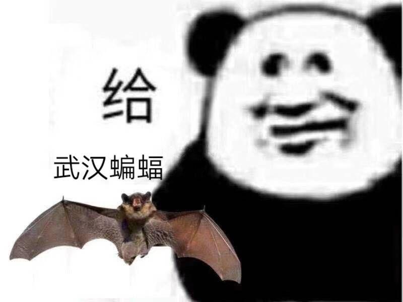 谁有蝙蝠的表情包?