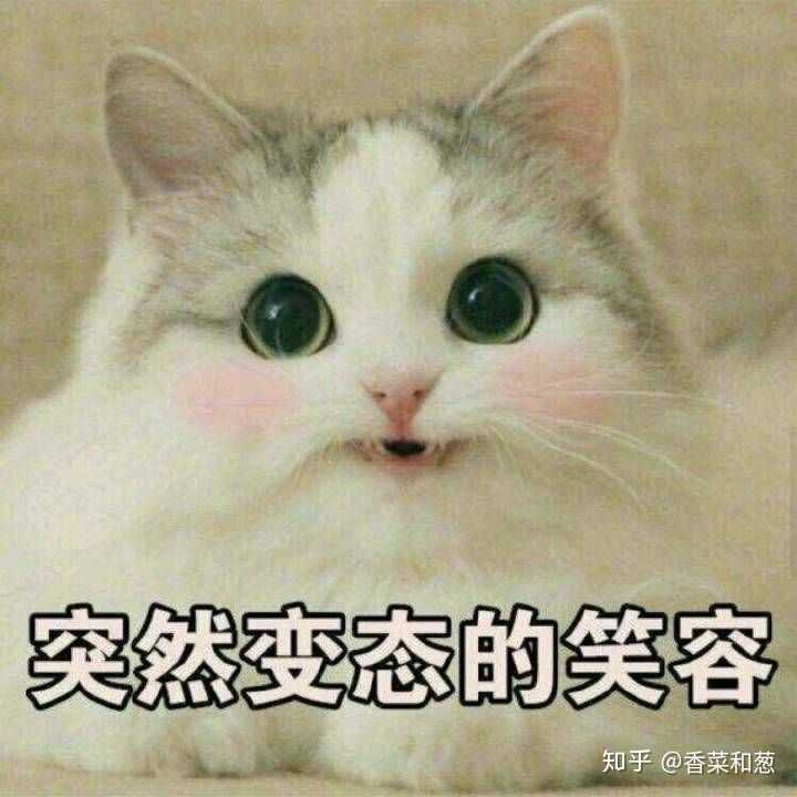 有哪些可以跟女朋友用的,看起来不土的表情包?