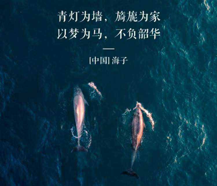 "以梦为马,不负昭华.