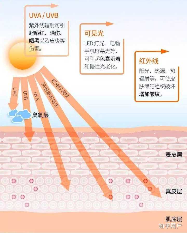 太阳照射在肌肤上的过程