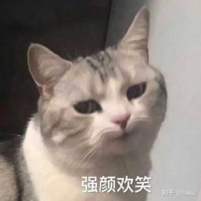还有一种就是性格本来就内向,平常在别人眼里很高冷的女生,微信上又