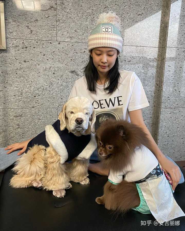 壁纸 动物 狗 狗狗 720_899 竖版 竖屏 手机