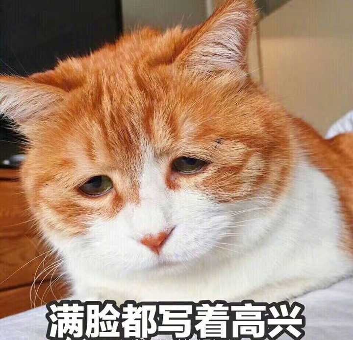 你们身边有哪些人硬生生地活成了段子?
