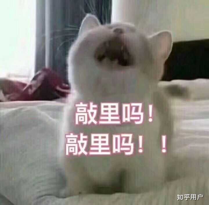 ok,fine,您全做了吧,功劳都是您的.麻烦您了.我们不该和您一个队.