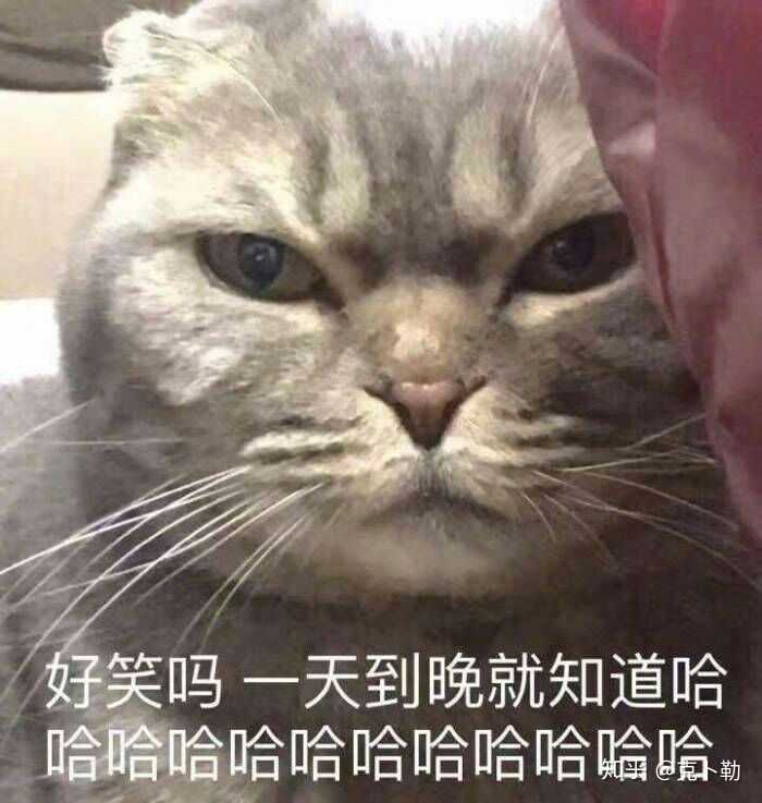 有哪些让人笑到肚子疼的搞笑图片?