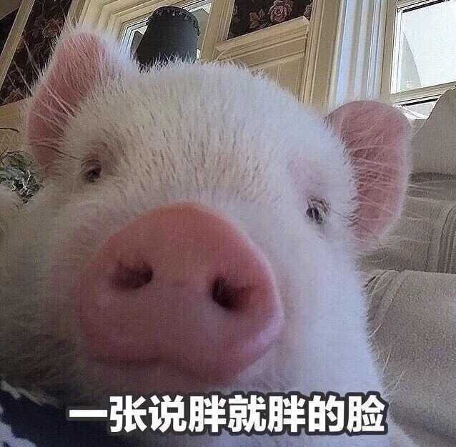 有没有傻傻的头像?