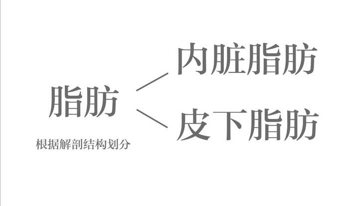 乳房脂肪真的会游移到背部嘛?有什么科学依据吗?