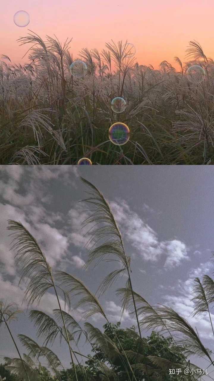 可以分享一些性冷淡风格壁纸吗?