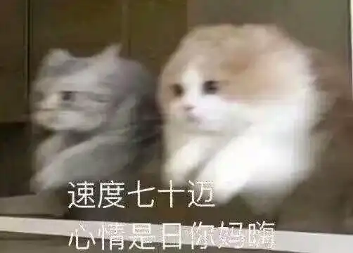 有哪些可爱的高糊小表情包?