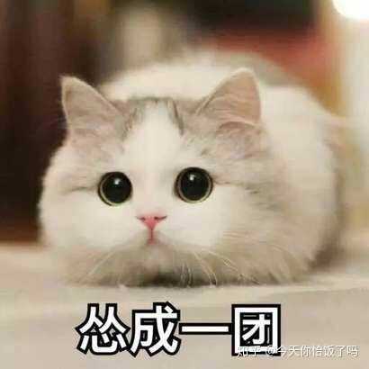 有什么适用于和老婆/女票撒娇的可爱表情包?