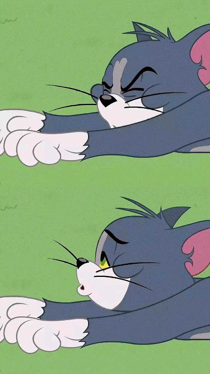 有没有有关猫和老鼠的壁纸?