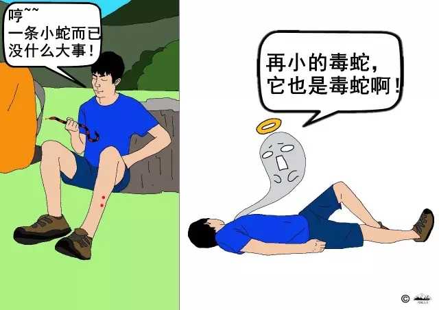 被蛇咬了怎么办