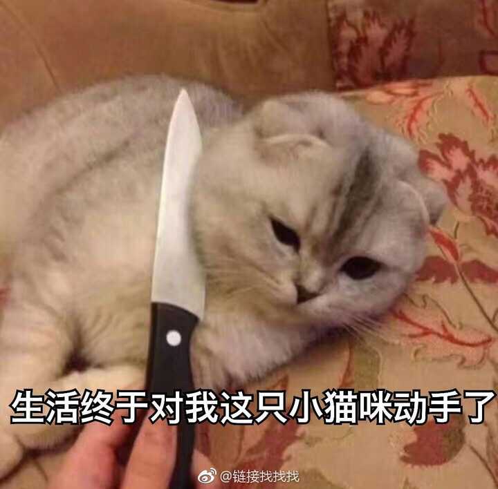 有没有碰到插队还理直气壮的人?