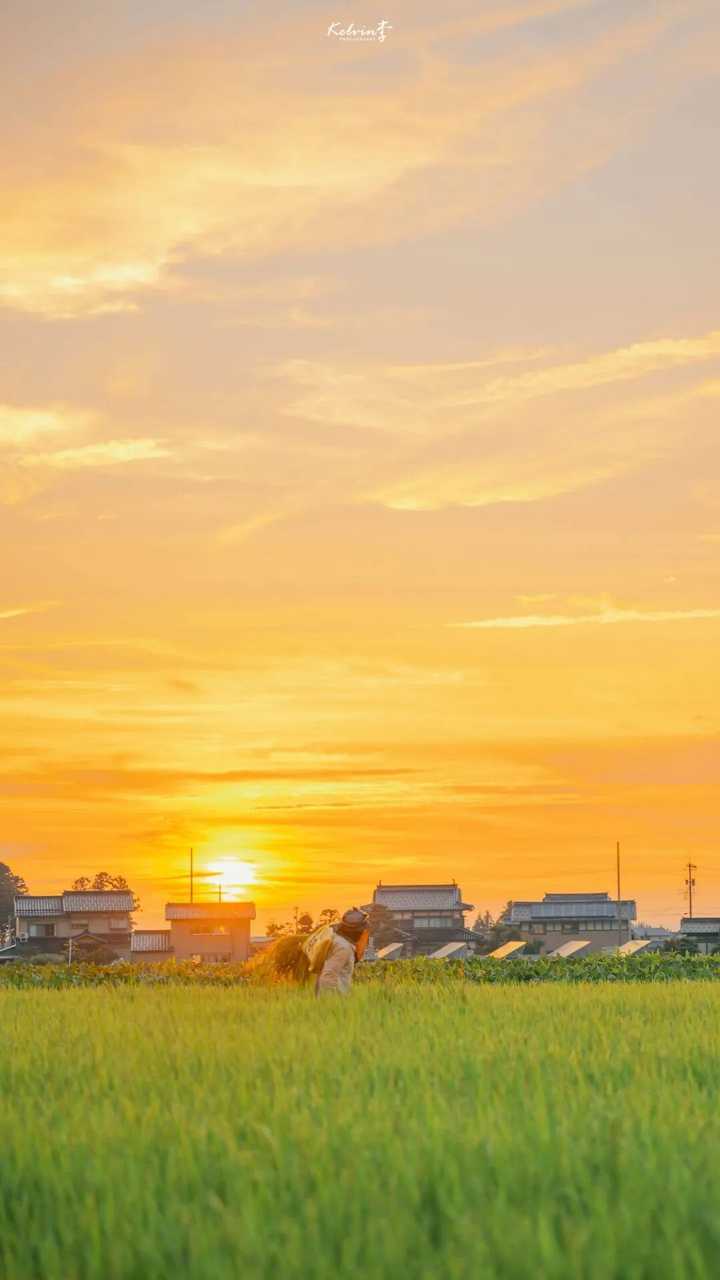 最能体现夏天的照片?