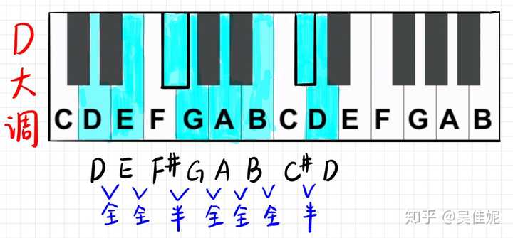 图片用ipad手画,蓝色的键就是d大调所对应的音(包含两个黑键)