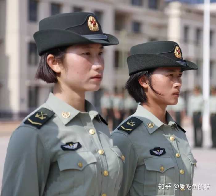 详细] 女兵报名流程:查看报名流程图