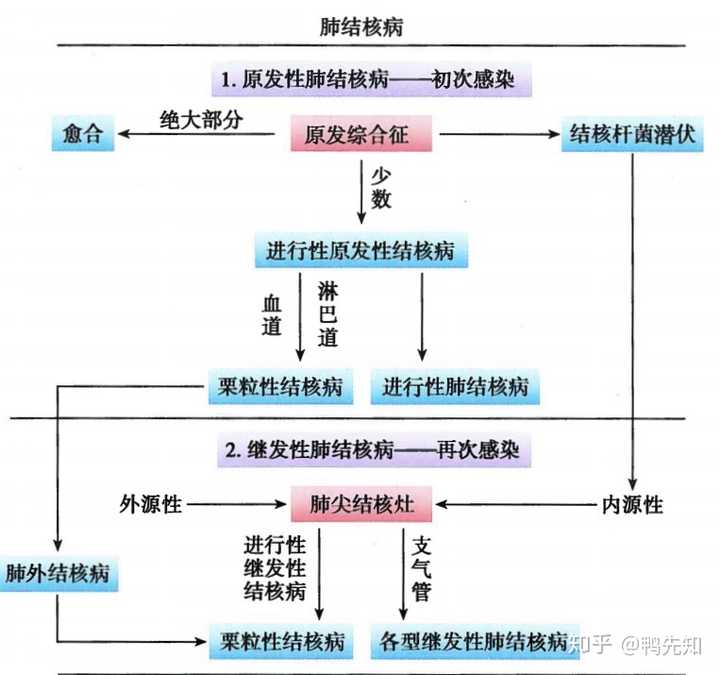 人感染结核分枝杆菌分为原发性感染和继发性感染两种情况.