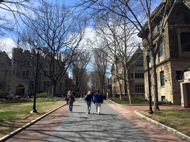 在宾夕法尼亚大学 (university of pennsylvania) 就读是怎样一番体验