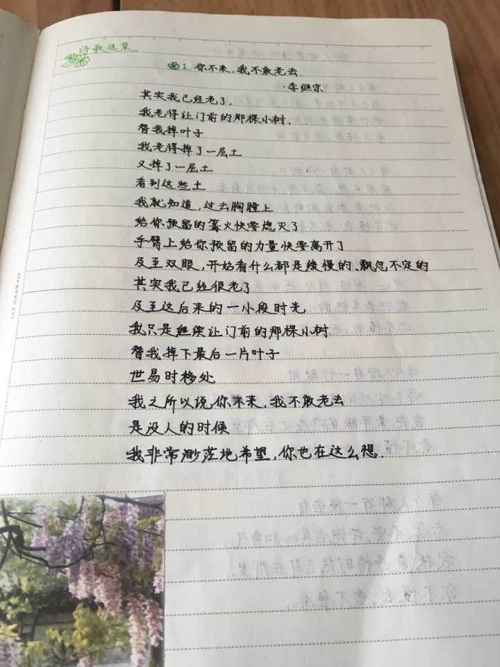 有没有什么好听的现代诗句?