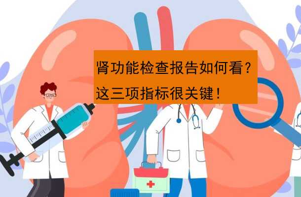 肾功能检查报告如何看这三项指标很关键