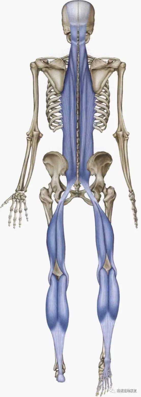 如何快速拉伸开腿部后侧的韧带?