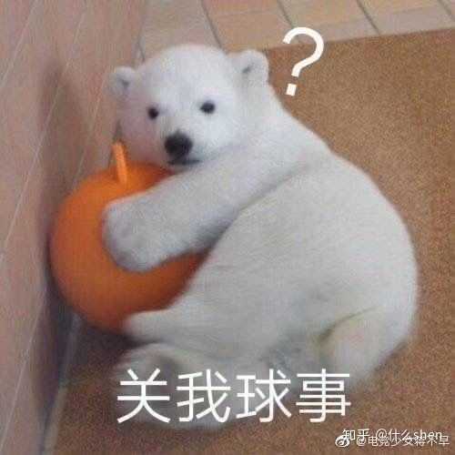 撩我家狗子的不知不觉间存了好多图,(小套路中参杂些许去幼儿园的车