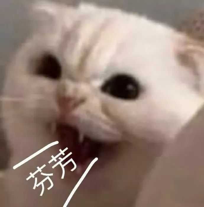 放前面比较容易找 快夸我贴心嘿嘿嘿(疯狂眼神暗示) 后面有渣女表情包