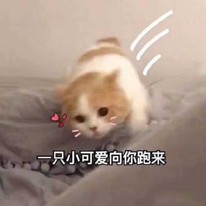 有那些撩男朋友的斗图?
