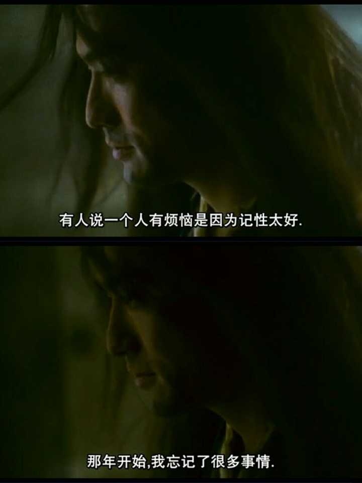 东邪西毒中对你触动最深的台词是什么?