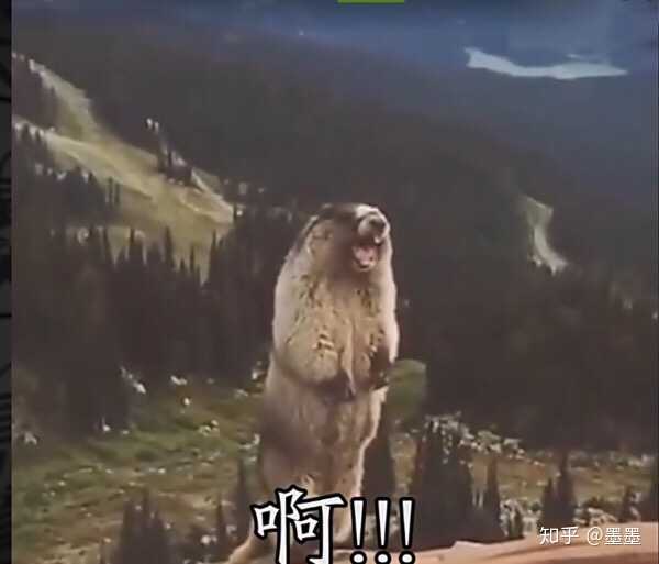 这到底啥时候是个头儿啊?