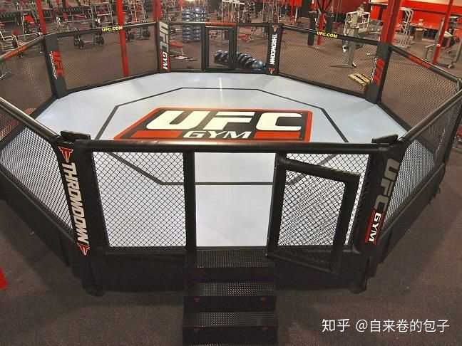 想入坑ufc和wwe怎么入门呢