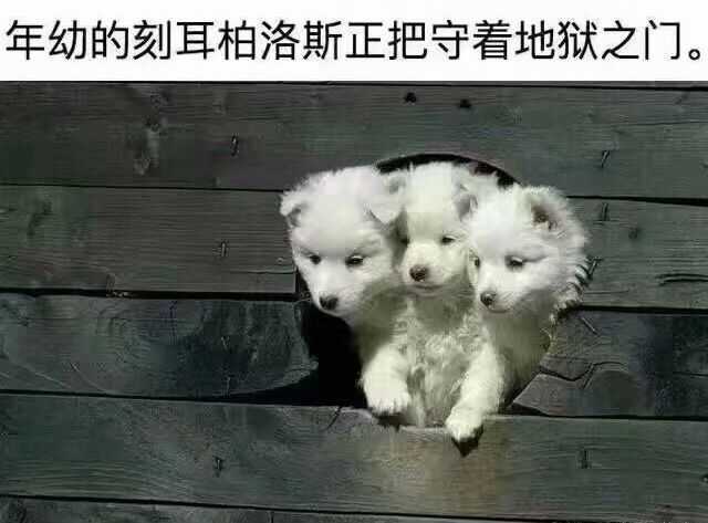 地狱恶犬