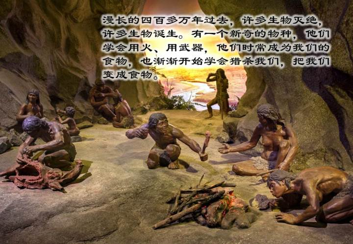 如何反驳那些讽刺爱狗人士站着说话不腰疼的人?