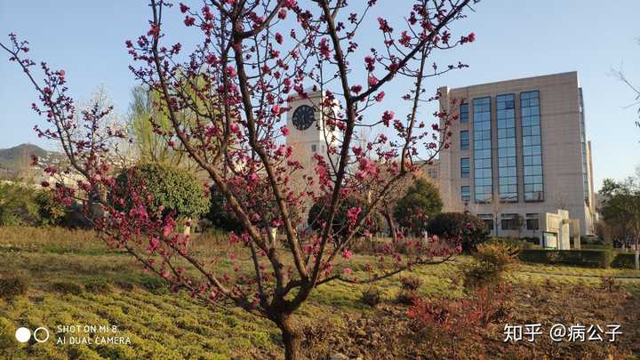 话(本科)陕西科技大学>西安科技大学,陕科大在未央,西科大本科在临潼