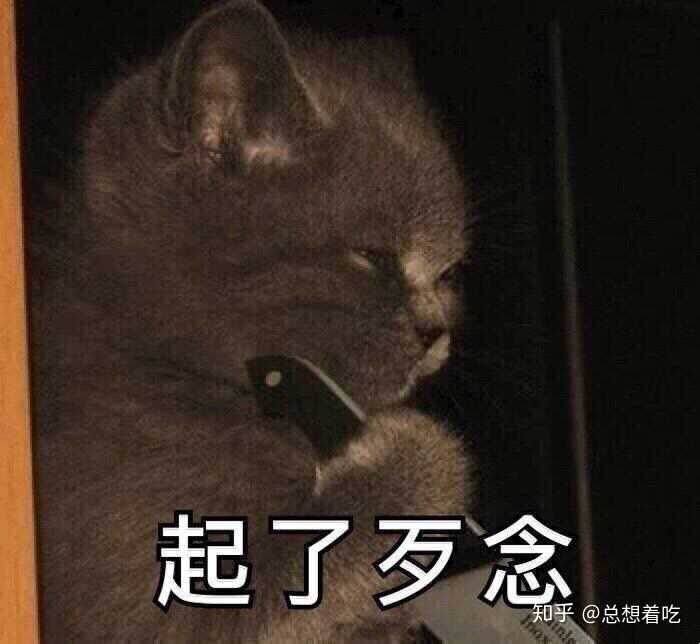 我选择给自己一个痛快