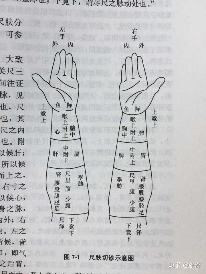 舌诊,手诊,面诊,脉诊,医疗案例研究开始,切忌上来先读内经伤寒论,我