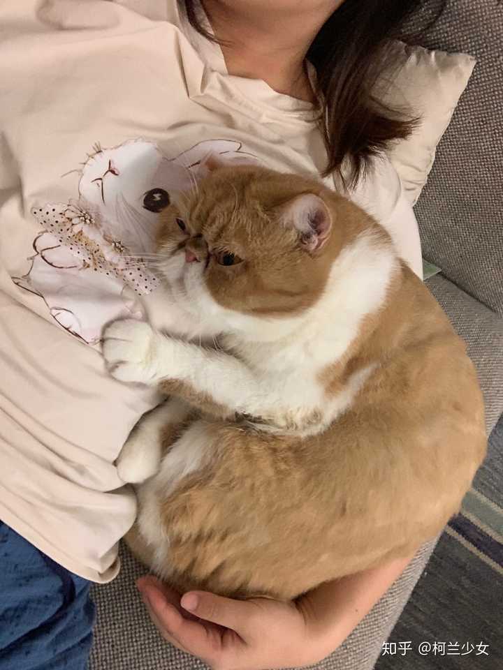 还会在我脖子里蹭,踩奶,还会同时滴口水.
