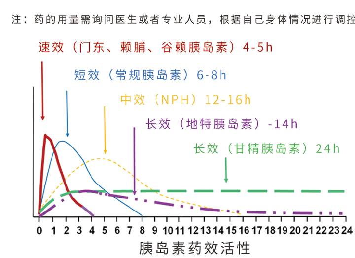 超短效(速效):诺和锐(门东),悠泌乐(赖脯),速秀霖,谷赖胰岛素 短效