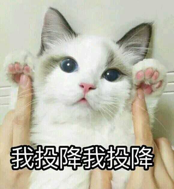 有没有那种适合给女朋友发的小表情包?
