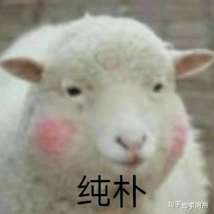 你见过哪些蠢到家的罪犯?