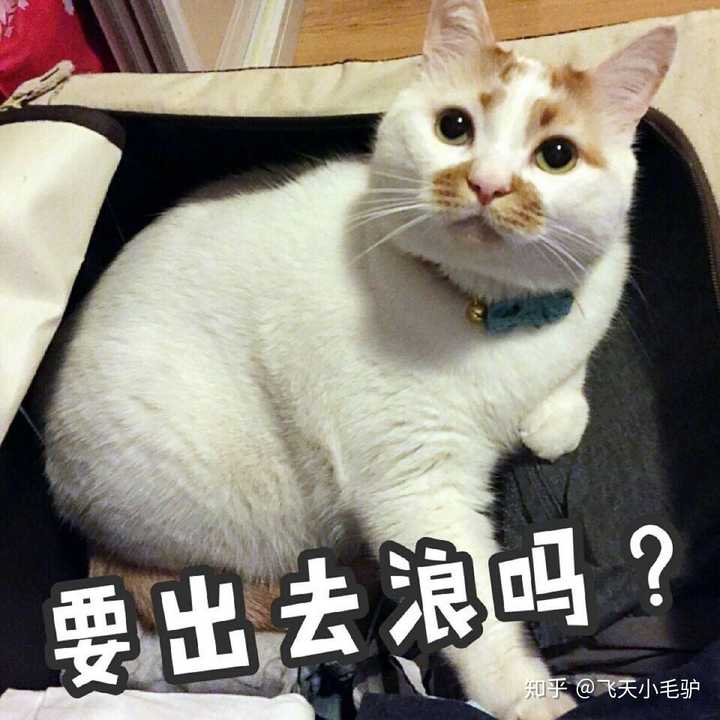 生活中觉得过不下去的时候,你是怎么宽慰自己的?