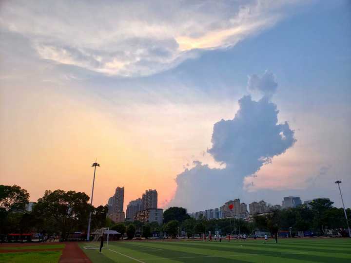 广西大学的校园环境如何?