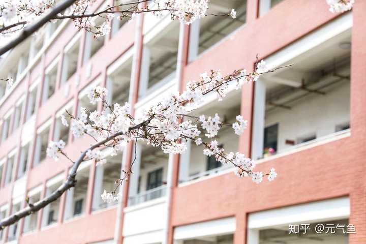 上海市浦东新区川沙中学南校怎么样?