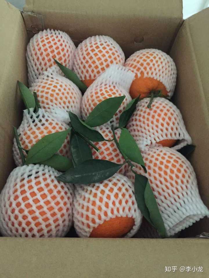 什么橙子最好吃?