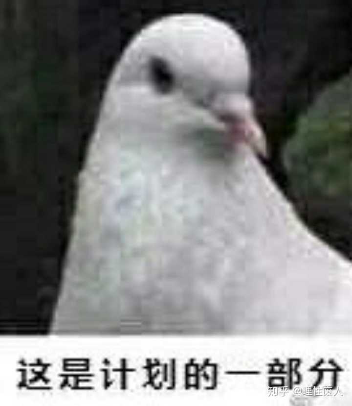 你都存了哪些傻屌表情包?