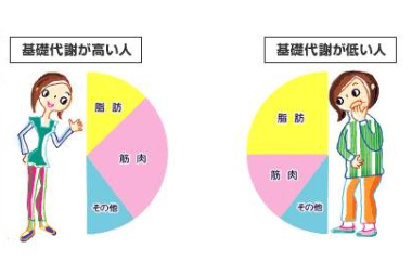 注:水,咖啡,茶,能量饮料,辣椒等食物长远来看,都没法提高基础代谢